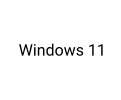 Windows 11
